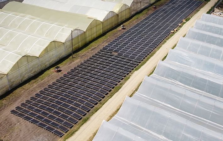 390W 72cells solar panel